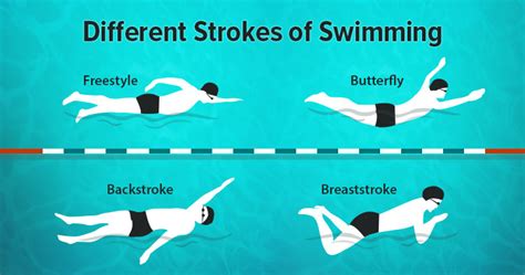 Cjk strokes are the classified set of line patterns that may be arranged and. swimming strokes