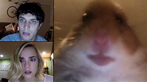 Unfriended Hamster Webcam Youtube