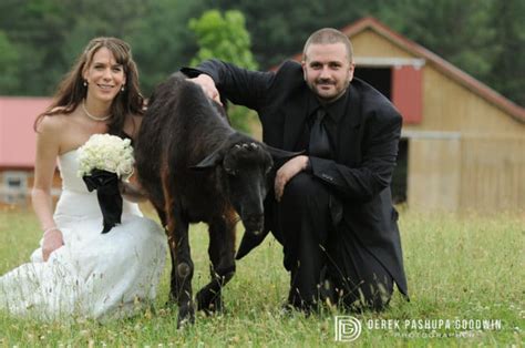 Have An Animal Wedding To Help Animals