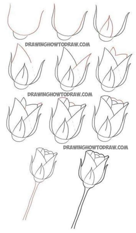 Rose Drawing Step By Step Video Warehouse Of Ideas