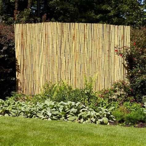 Reviews For Vigoro 6 Ft X 8 Ft Natural Full Round Bamboo Fence The