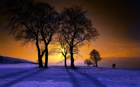 Wallpaper Sunlight Trees Landscape Sunset Night Sky Snow