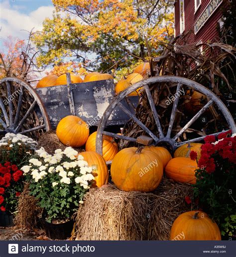 Fall Scene With Pumpkins Stock Photo Alamy