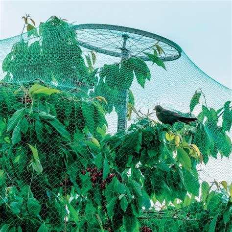 Abri De Jardin Filet Anti Oiseaux Pour Arbres Fruitiers