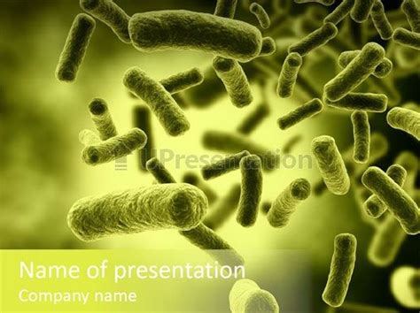 Microbiology Ppt Template - Kunci Soal