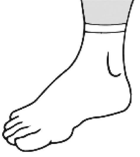 Ankle Drawing Free Download On Clipartmag