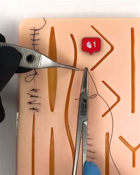 This Suture Practice Kit By Medical Creations Is The Best You Can Find
