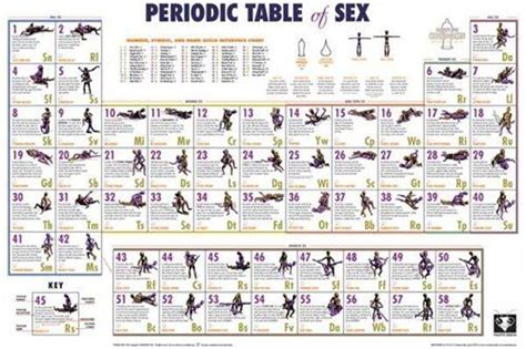 Periodic Table Of Sex Positions Poster Online Lesbian Free Nude Porn