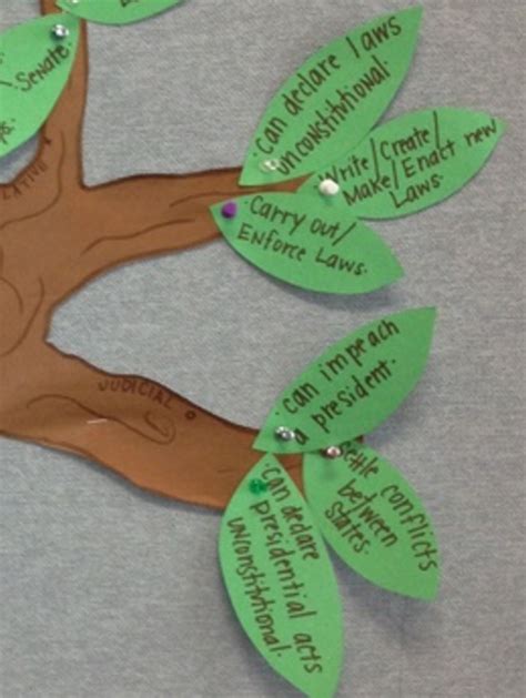 Tree Of Government Project Mr Tessin