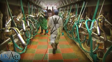 Milking Procedures For Maximum Milk Quality Youtube