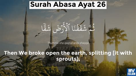 Surah Abasa Ayat 26 8026 Quran With Tafsir My Islam