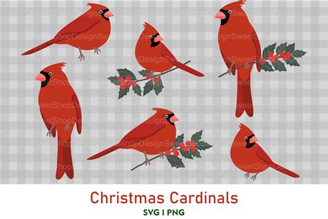 Embellishments Card Making And Stationery Svg Cardinal Silhouette Cricut