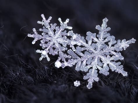 Schneeflocken Eiskristalle Winter 1920x1440 Hd Hintergrundbilder Hd
