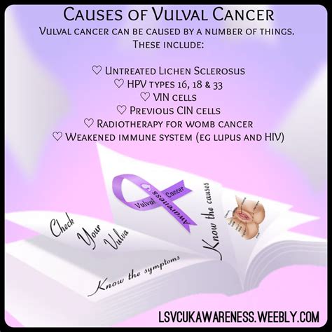 5 Gynaecological Cancers Lichen Sclerosus Vulval Cancer UK Awareness
