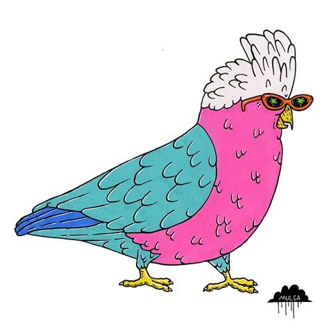 please let me introduce you to gail the galah keep reading to learn her story an ode to gail