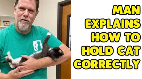 Just What I Needed Today How To Properly Hold A Cat Goes Viral B96