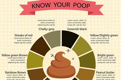Blood In Stool Color Chart