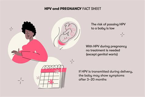 Human Papillomavirus And Pregnancy Can Hpv Be Passed From Mother To Child