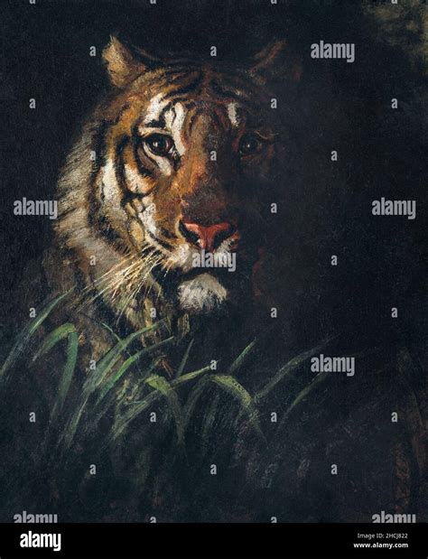 Tigers Head Painting In High Resolution By Abbott Handerson Thayer