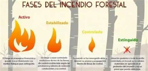 Las Cuatro Fases De Un Incendio Forestal Las Provincias
