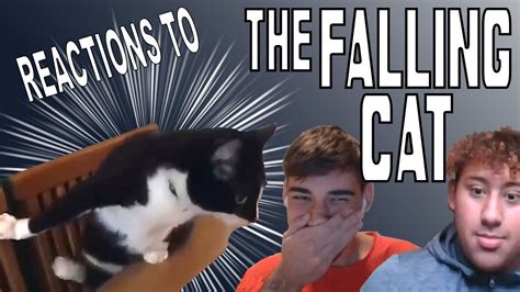 The Falling Cat Omegle Prank Youtube