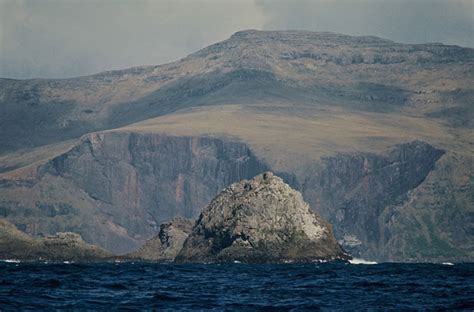 It is auckland's most iconic island with it's distinctive symmetrical. Auckland Island from Disappointment Island - Subantarctic ...