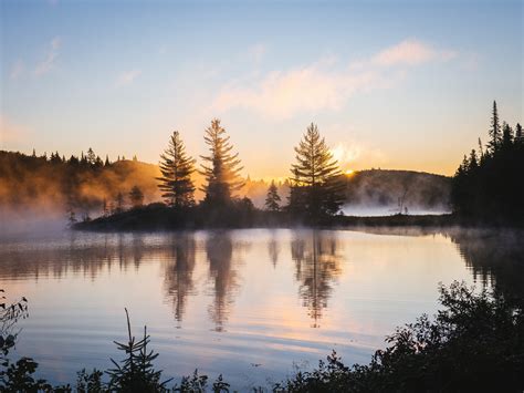 Lake Reflection Morning Mist Trees Nature Hd 4k Hd Nature 4k