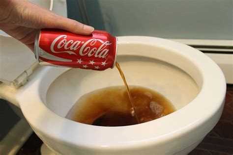 top 10 most surprising off the wall uses for coca cola realitypod