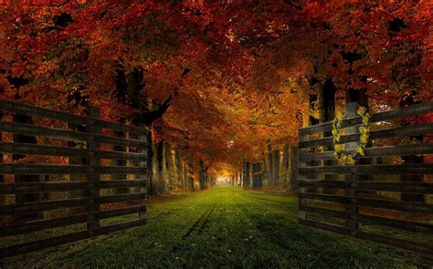 Brown Wooden Fence Nature Landscape Gates Path Hd Wallpaper