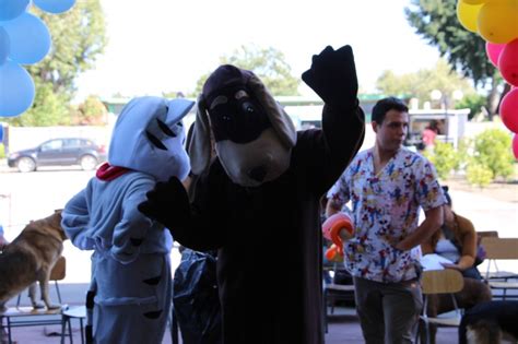 We did not find results for: MASIVA ASISTENCIA A FERIA DE MASCOTAS
