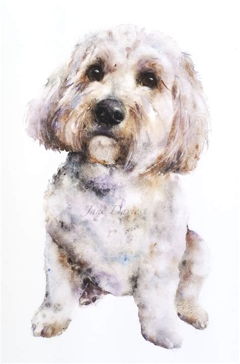 Cavapoo Painted By Watercolour Artist Jane Davies Watercolor Dog