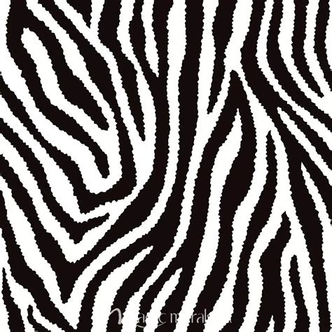 Art And Collectibles Zebra Print Screenprints Prints Pe