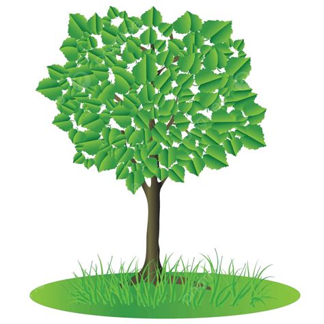 Tree Illustrations Branch Plant Vector Illustrations Branch Plant
