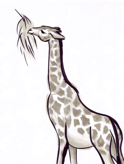 Please contact us if you want to publish a drawing cute animal. Steftacular's Blog: Animal Gesture Drawings from the LA Zoo
