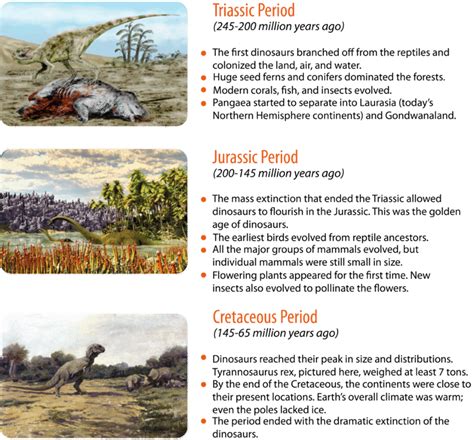 58 Mesozoic Era The Age Of Dinosaurs Biology Libretexts