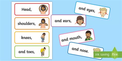 Head Shoulders Knees And Toes Word Cards Teacher Made