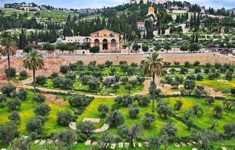 Jerusalem City Walks Views Of Old Jerusalem And Landscapes Stock