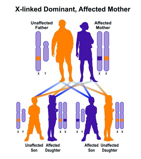 Aicardi Syndrome Hereditary Ocular Diseases