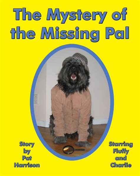 Mystery Of The Missing Pal Level F9