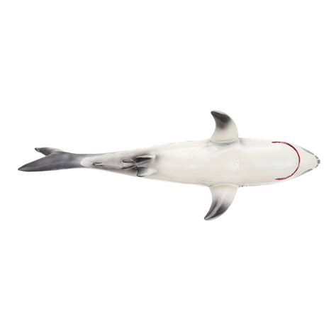 New 58cm Model Megalodon Great White Shark Simulation Animal Figure