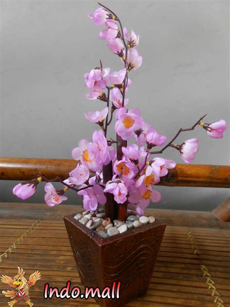 We did not find results for: Jual Pohon Sakura Hias Dekorasi Imlek Bunga Plastik ...