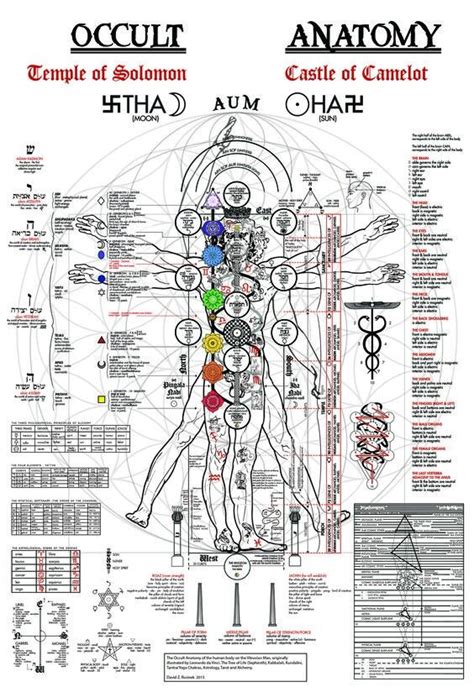 Human Anatomy Related To Temple Of Solomon Occult And Castle Of