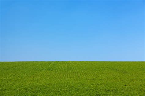 Green Grass Field Under Blue Sky · Free Stock Photo