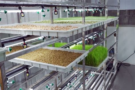 aprender sobre 33 imagem vertical farming container vn