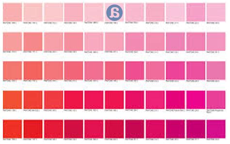 Rompecabezas Consultar Metano Color Rosa Aflojar Datos Será