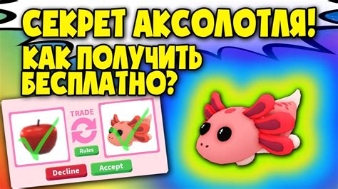 Axolotl In Adopt Me Youtube