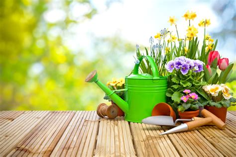 Gartenarbeit Im Frühling Das Ist Jetzt Zu Tun Themen Lokalmatador