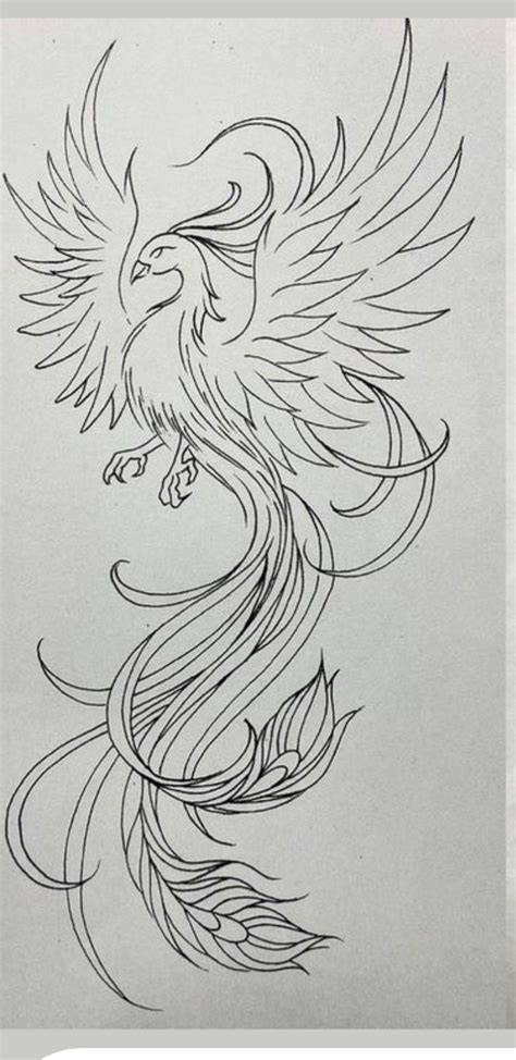 Pin By Nicolas Bourdier On Cola Phoenix Tattoo Design Phoenix Bird