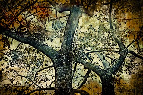 Vintage Tree Digital Art By Nelson Osorio Fine Art America