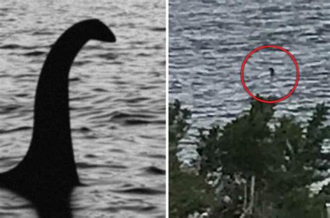 Loch Ness Monster Sighting At Scotland Highland Lodges In